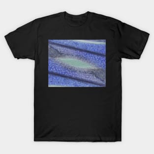 Shoal T-Shirt